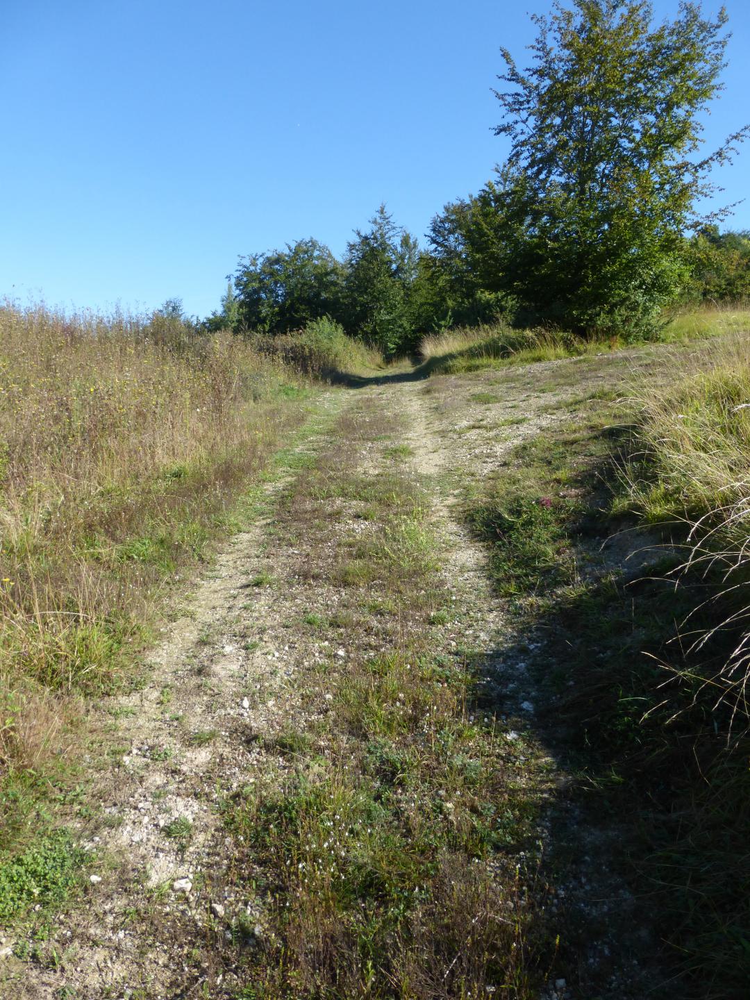 La Pelouse de LeMesnilsurBulles Conservatoire d'espaces naturels