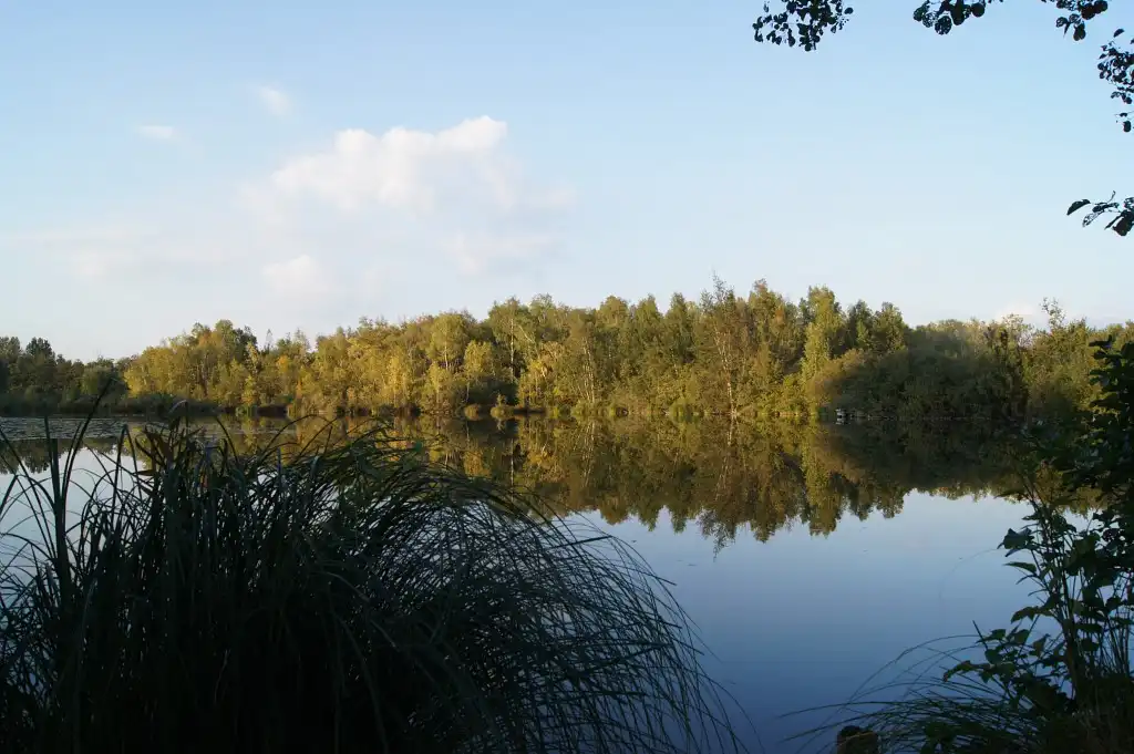 Photographie du Grand Marais de la Queue de Blangy-Tronville dans la Somme. Milieu naturel humide protégé dans les Hauts de France