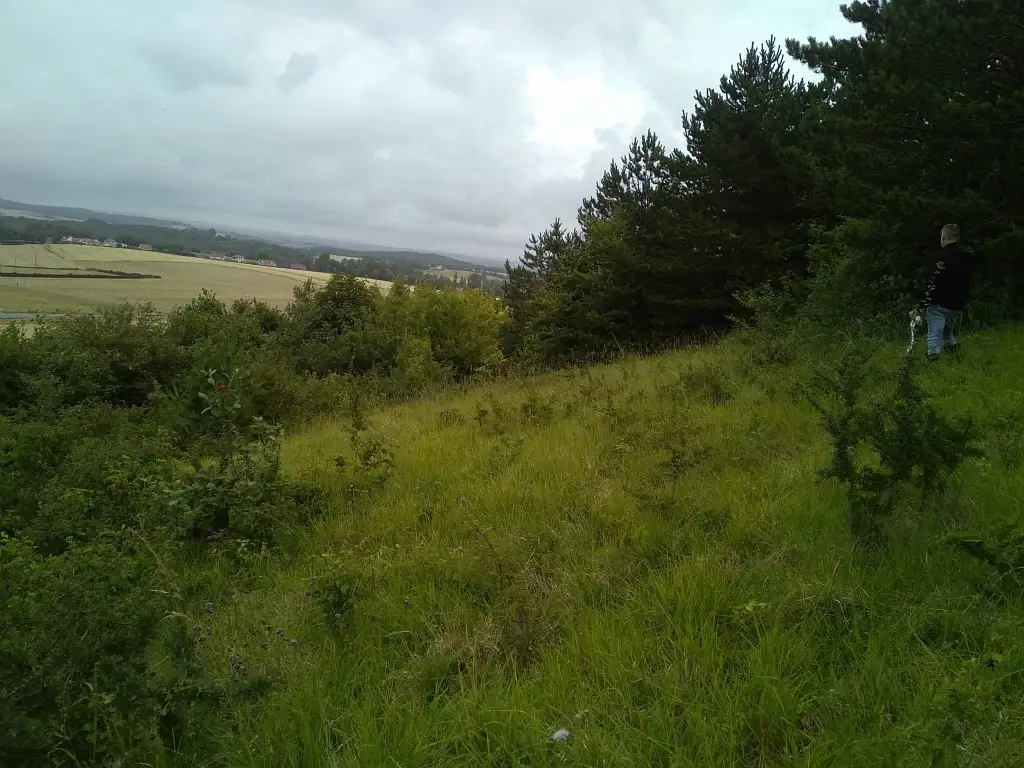 Bois Godin, Nesles (Pas-de-Calais)