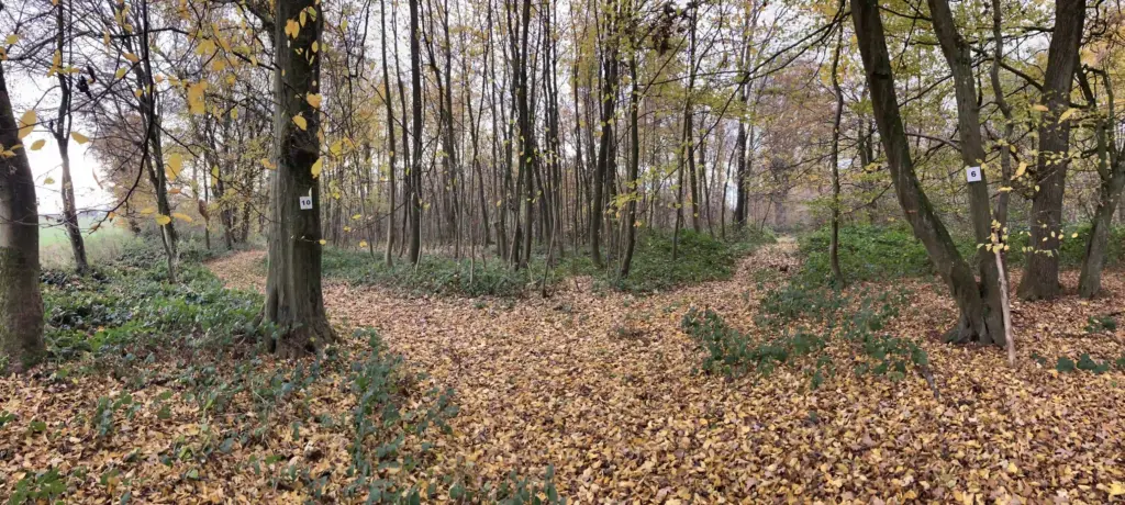 Bois de la Loterie (Pas-de-Calais)