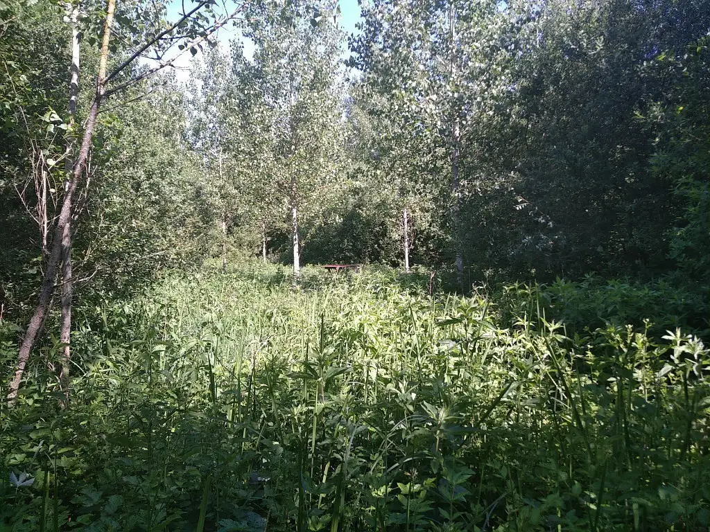 Boubers-sur-Canche (Pas-de-Calais)