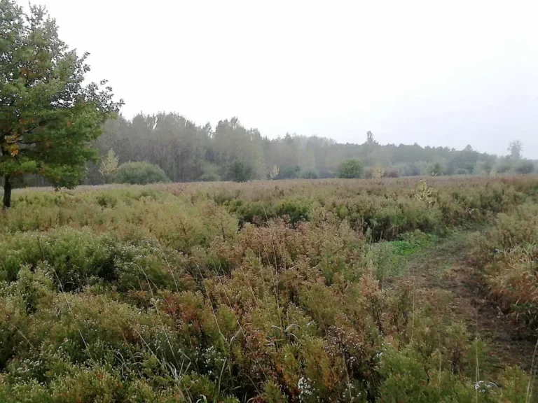 Photo de Brétigny (Oise)
