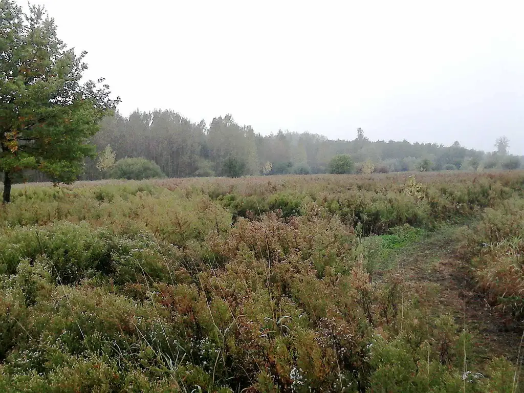 Photo de Brétigny (Oise)