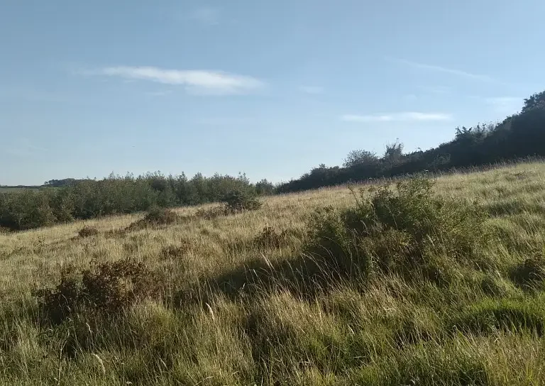 Coteaux et carrière de Dannes-Camiers