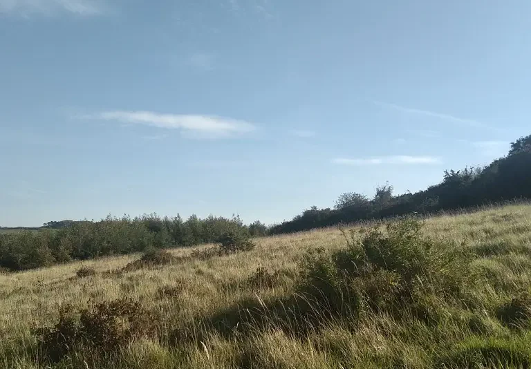 Photographie de la carrière du coteau Dannes-Camiers dans le Pas-de-Calais.