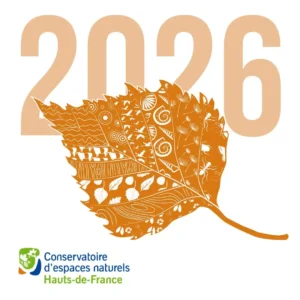 Carte de voeux 2026