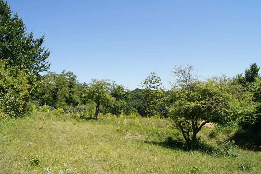 Cavée et pelouses de la Cavée des Vaches à Béthisy-Saint-Pierre (Oise)