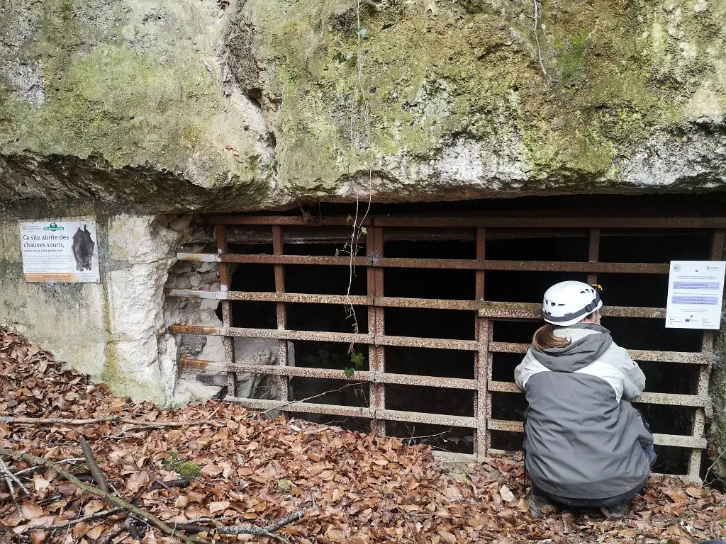 Cavité souterraine - Gîte à chiroptères, Prémontré_Bassoles-Aulers (Aisne)