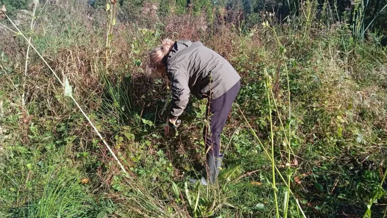 Photographie d'une animation CEN Hauts-de-France, Chantier d'automne au Marais de Pernes (Pas-de-Calais)