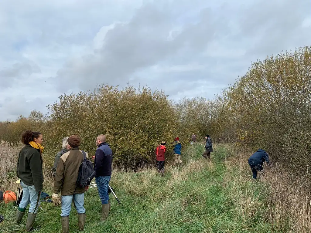 Photographie d'une animation chantier nature RNR Les Prairies du Val de Sambre à Maroilles dans le Nord.