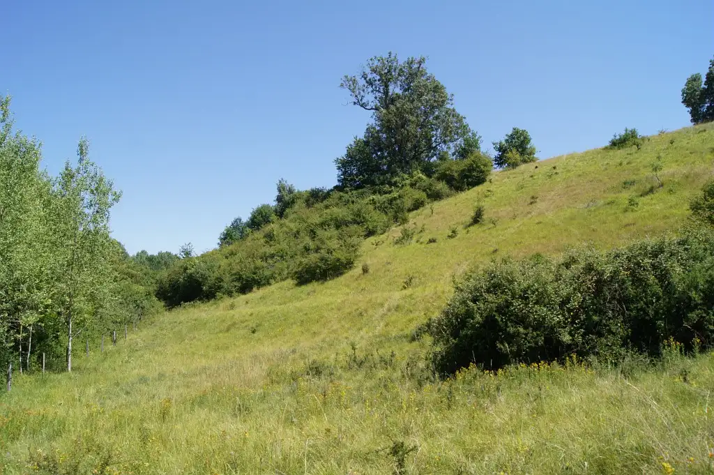 Le Coteau et le Marais de Baybelle