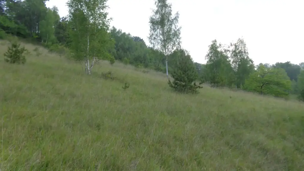 Coteau de Lhuys (Aisne)