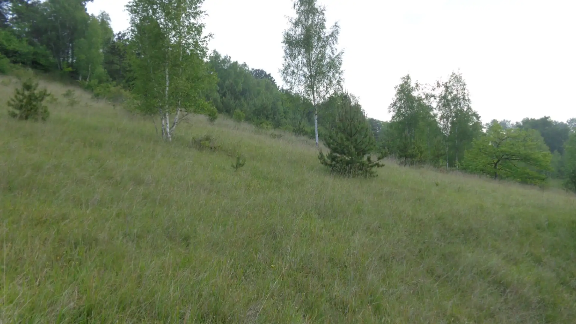 Coteau de Lhuys (Aisne)
