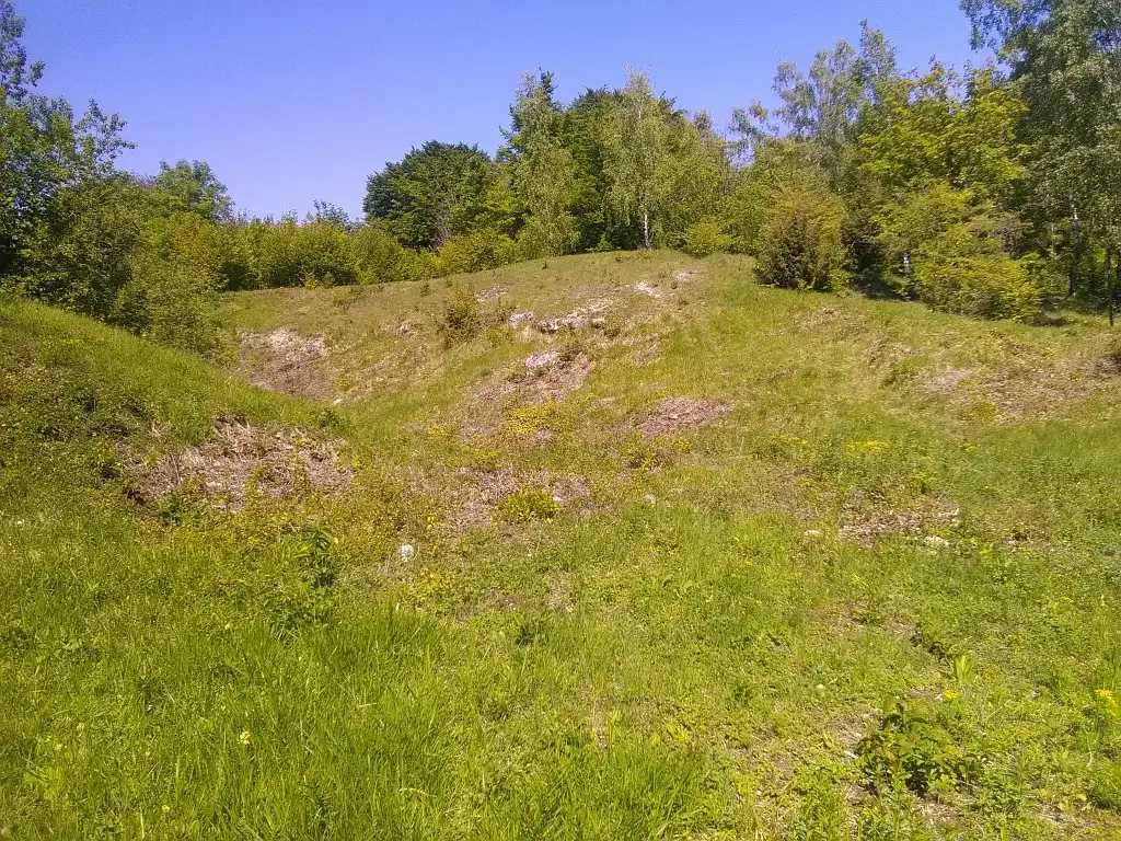 Coteau de Mahy, Carrières de Mahy et sur Saudraies, Pasly (Aisne)