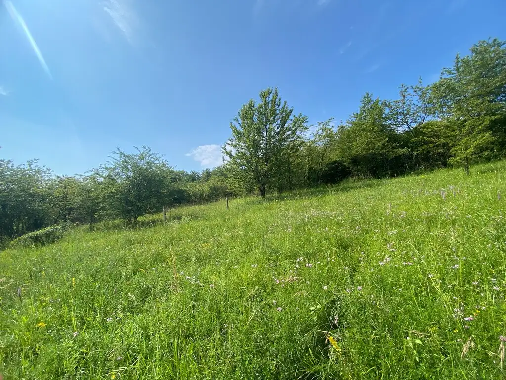 Coteau de Montcourt, Essômes-sur-Marne (Aisne)