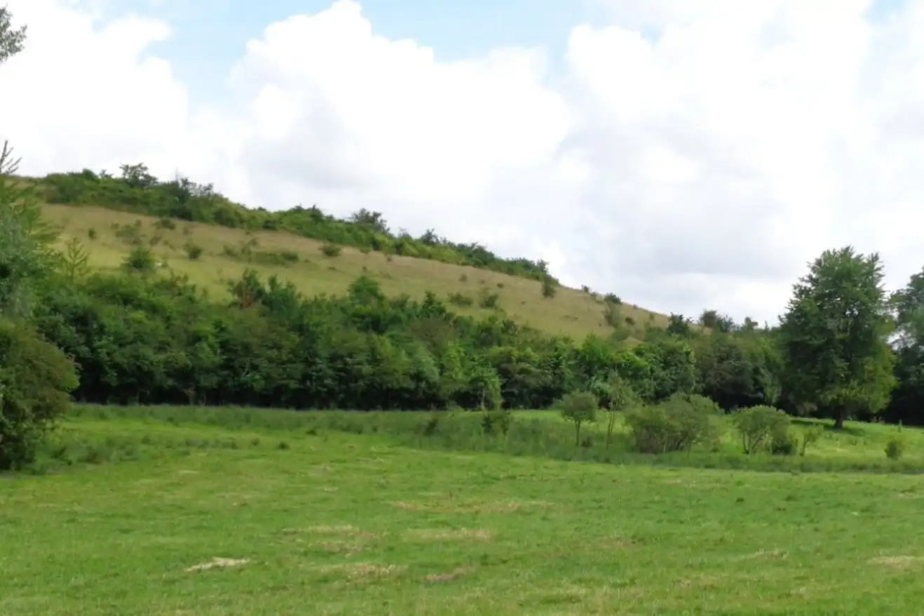 Coteau du Mont-Saint-Martin (Aisne)