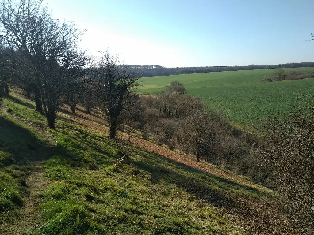 Coteau du Mont de Quelmes (Pas-de-Calais)