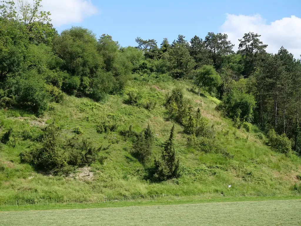 Coteau et Vallée Sailly-le-Sec / La Vallée Danivalle, Sailly-le-Sec (Somme)