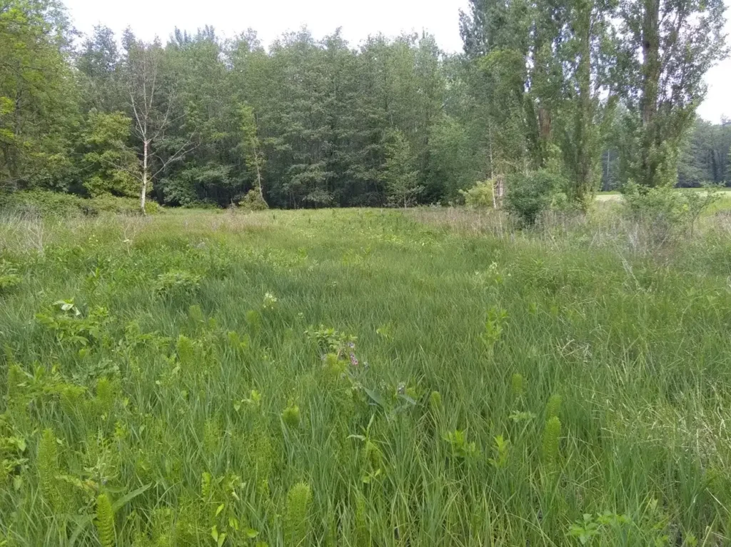 Espaces Eyssartier et Garats, Brasles, Château-Thierry (Aisne)
