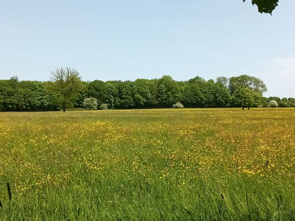 Etang de La Galoperie, Anor (Nord)