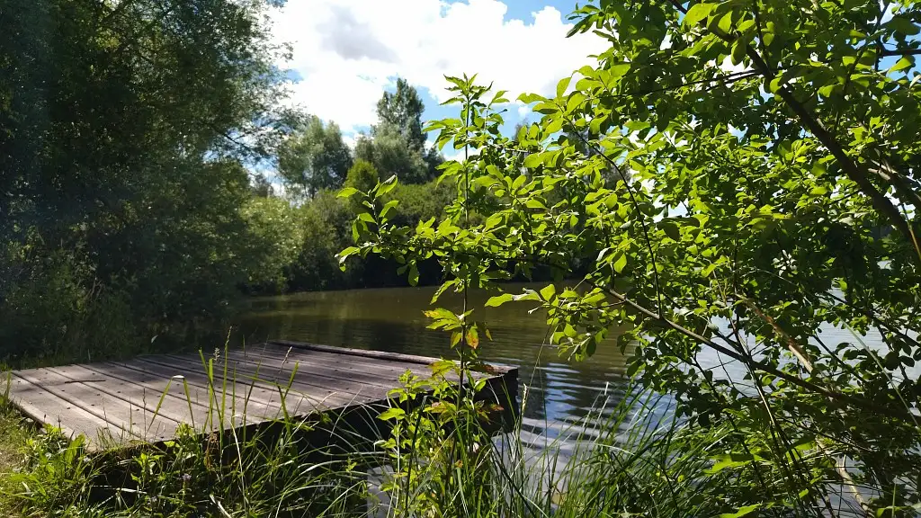 Etangs Saint-Nicolas, Boves (Somme)