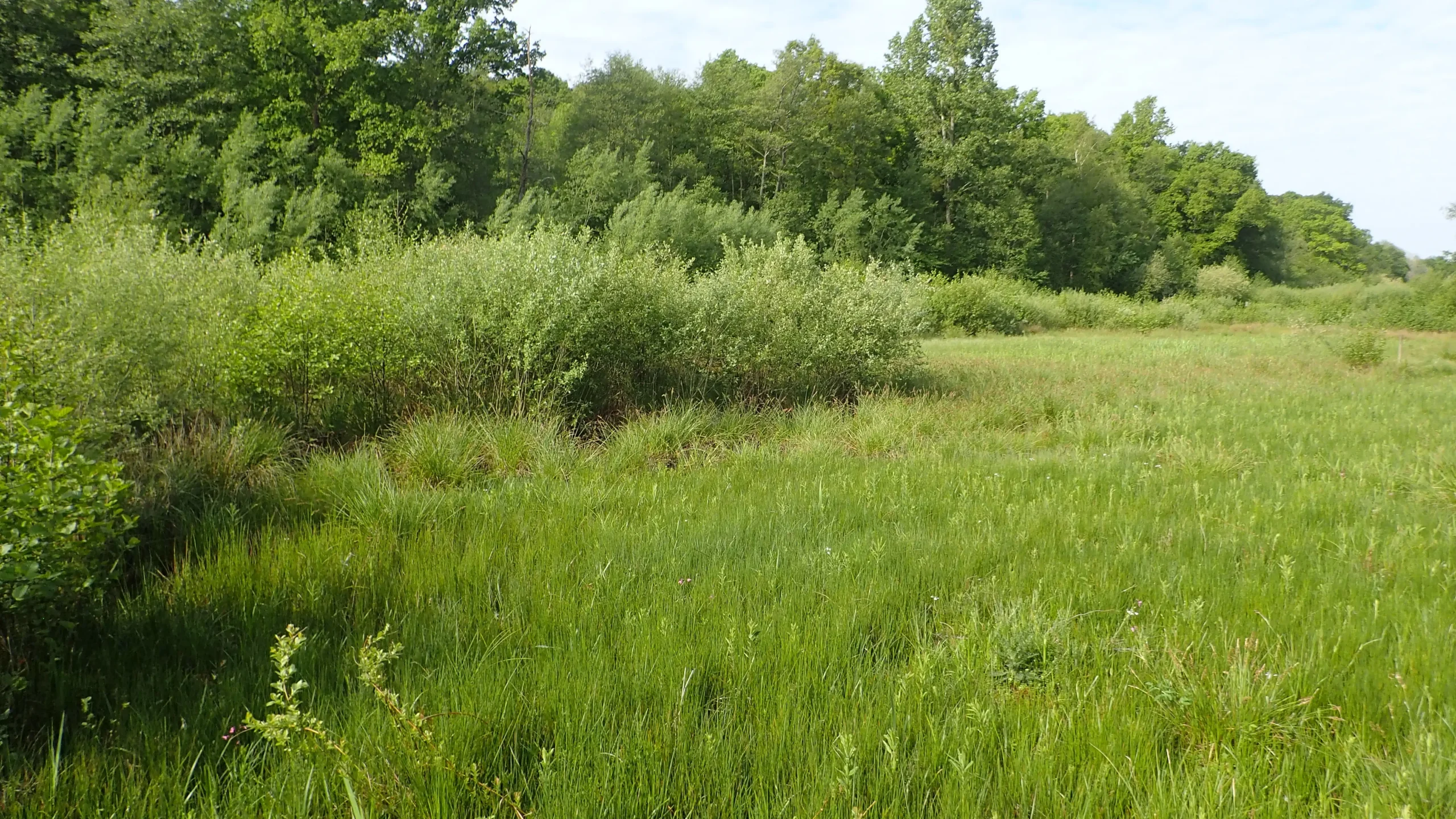 Fontaine Modet, Blacourt (Oise)