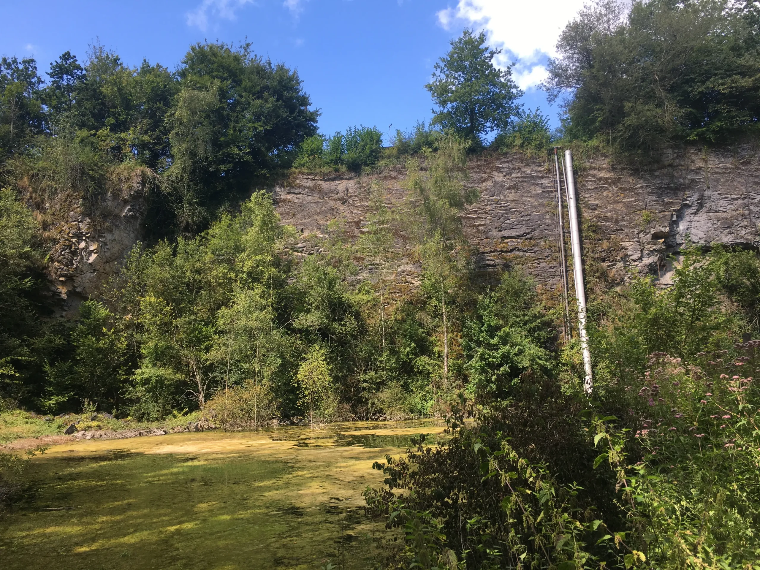 Forage de Ferrière-la-Grande (Nord)
