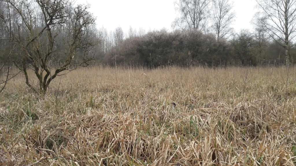 Fosse Saint-Pierre, Thivencelle (Nord)