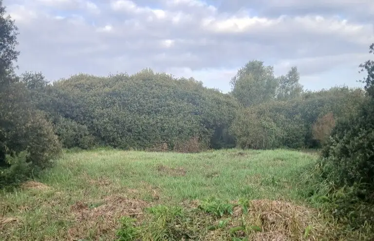 Franc marais de Brimeux (Pas-de-Calais)