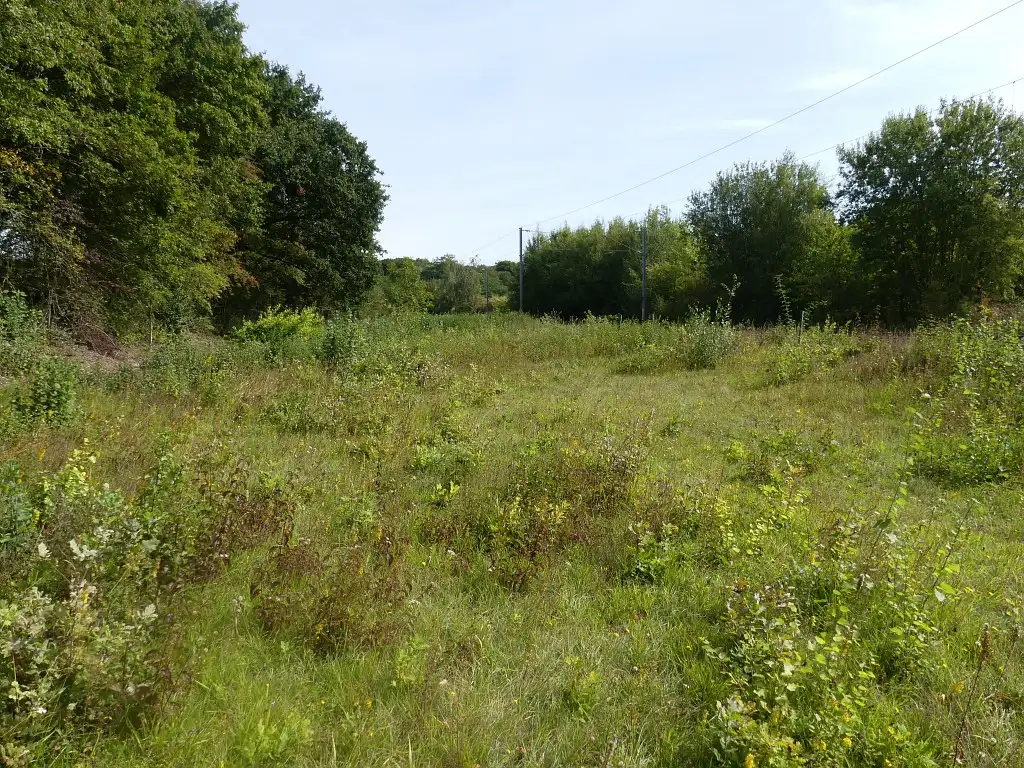 Friche calcicole de Famechon (Gare de Famechon)