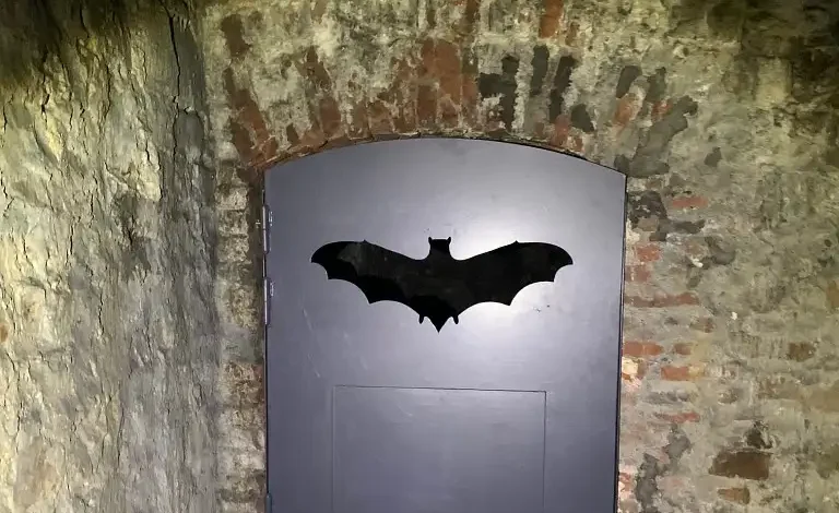 Gite à chiroptères de Maubeuge (Nord)