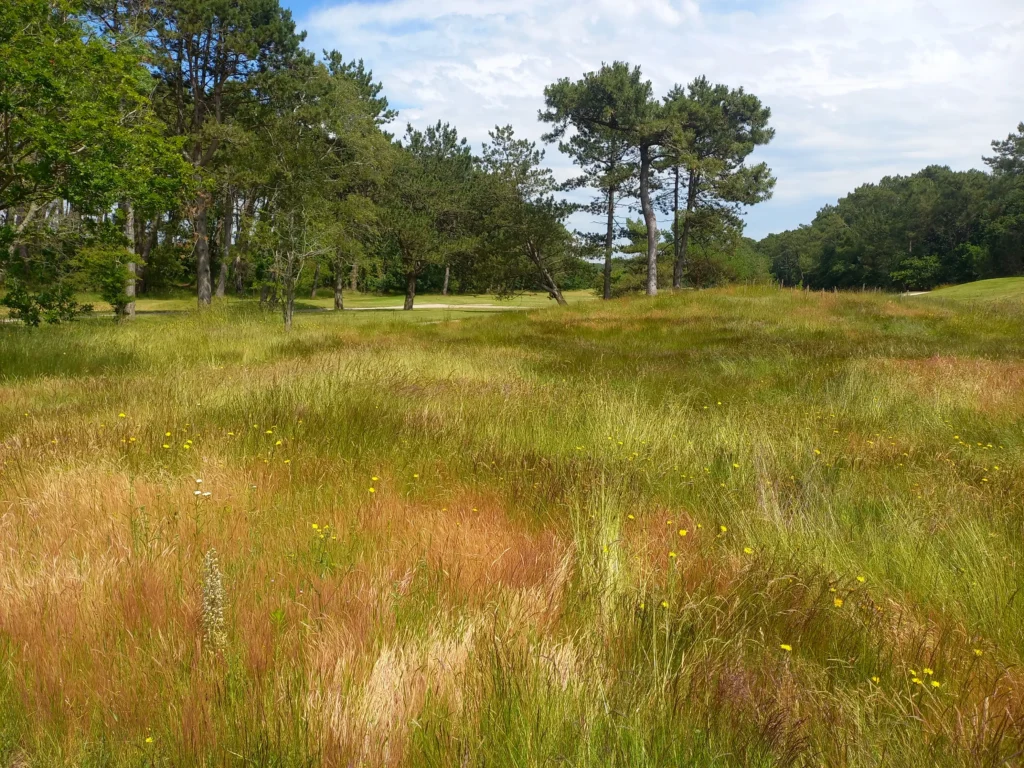 Golf du Touquet (Pas-de-Calais)