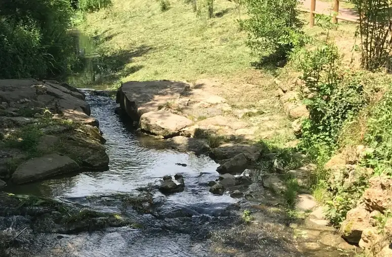 Ile de la Rudenoise, Charly-sur-Marne (Aisne)