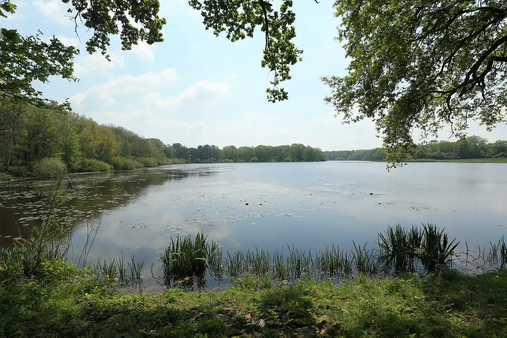 L'Etang de la Logette, Epieds Beuvardes (Aisne)
