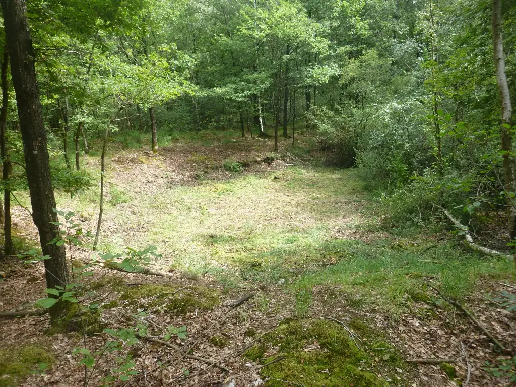 La Ferté Milon (Aisne)