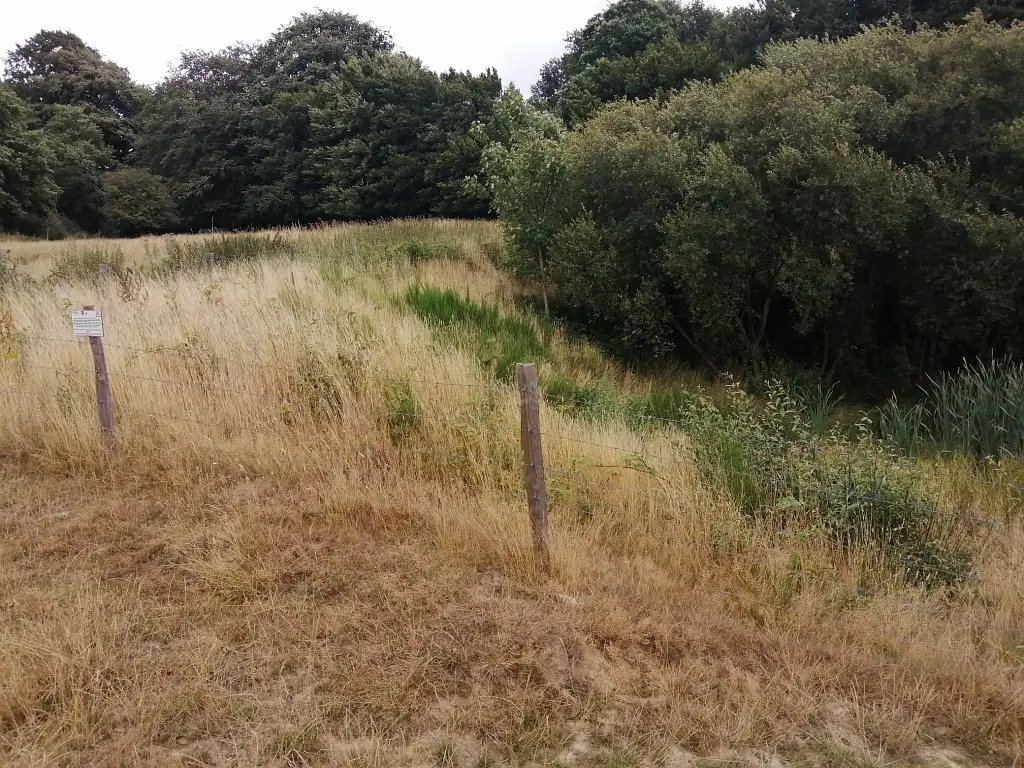 La Mare de la Prairie des Halleux, Mont-Saint-Eloi (Pas-de-Calais)