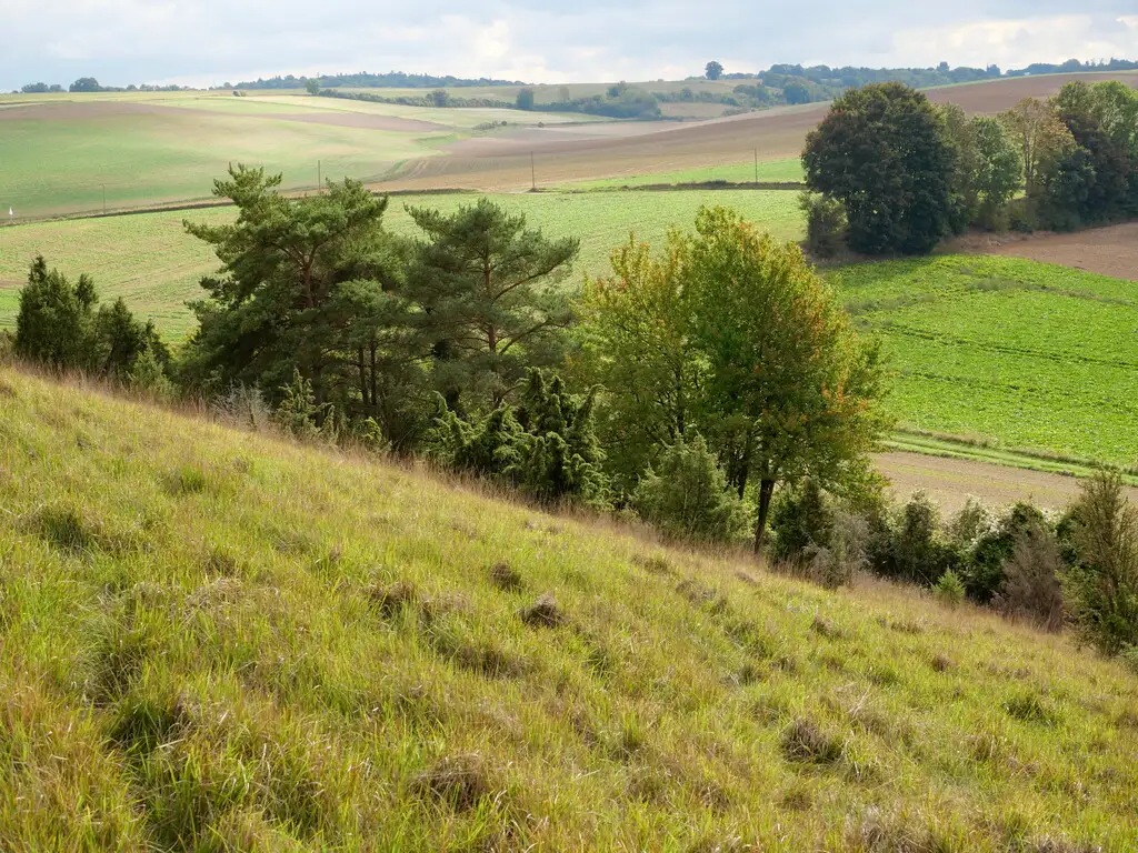 La Montagne de Saint-Aubin-Montenoy (Somme)