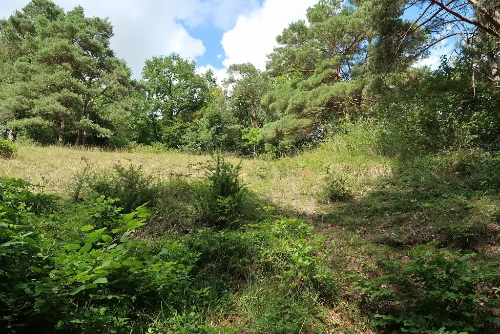 Photographie de la vue paysagère de la Pelouse de Roberval dans l'Oise