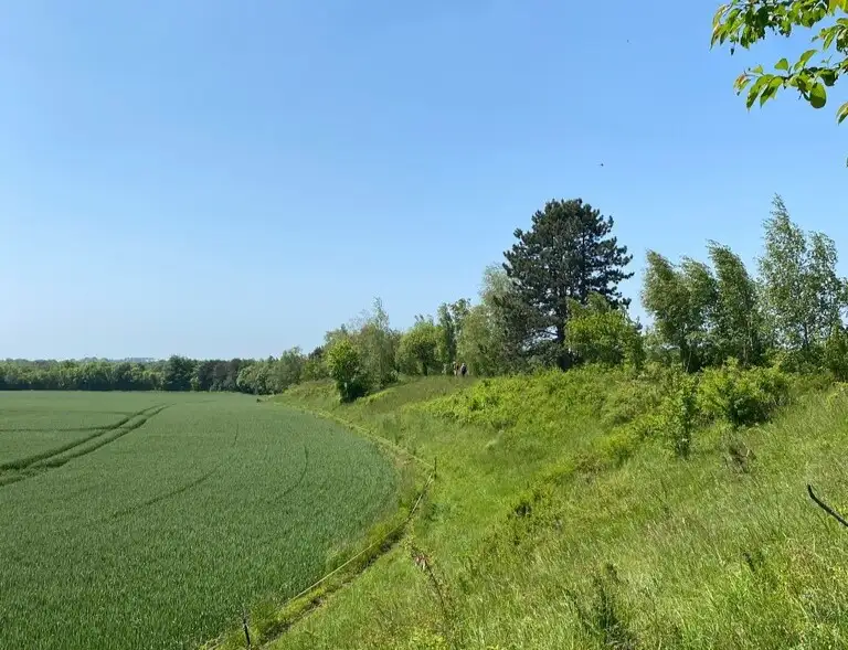 La Pelouse de l'Oppidum du Vieux Laon, Saint-Thomas (Aisne)