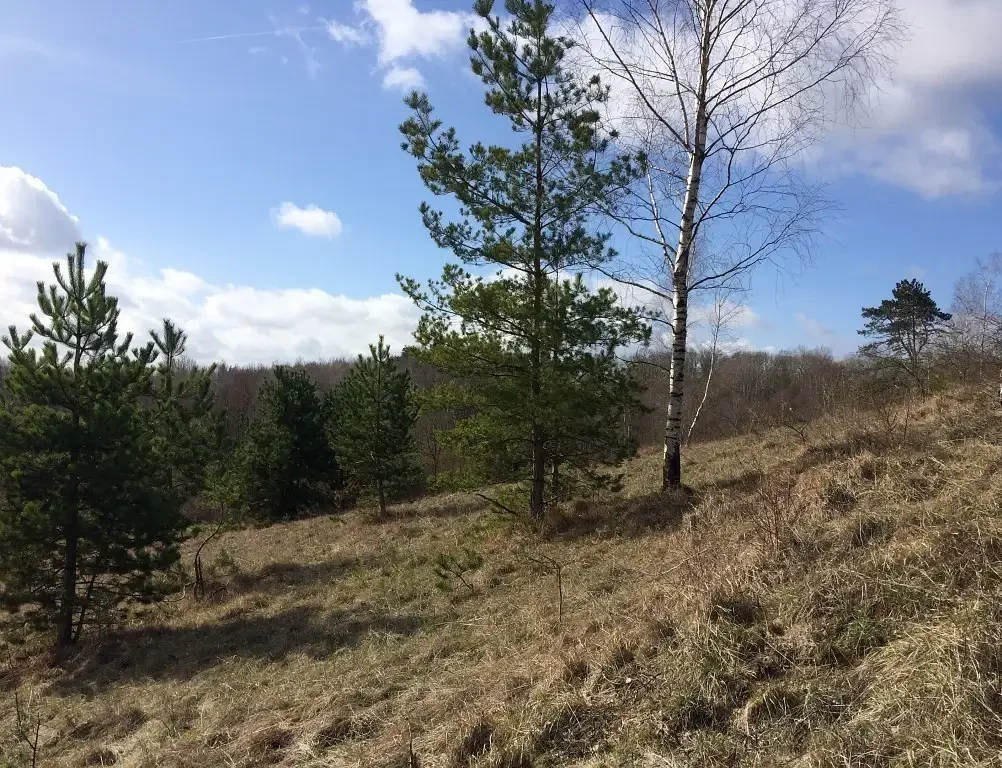 La Pente à Maugras, Arcy-Sainte-Restitue (Aisne)