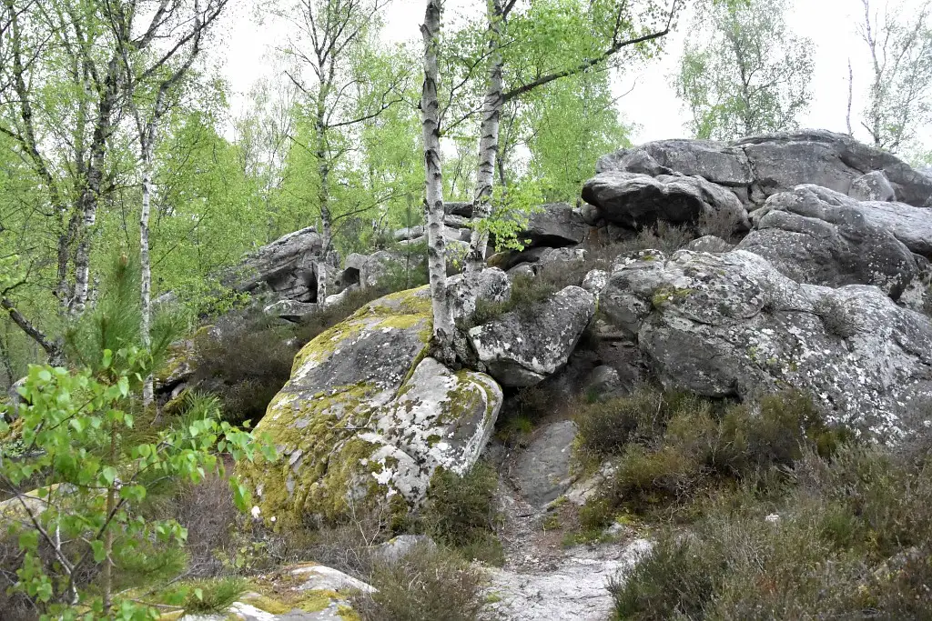 La Pierre Glissoire - Péroy-lès-Gombries (Oise)