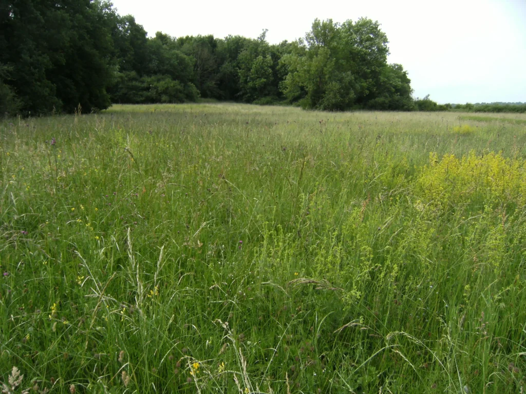 La Prairie d'Auneuil (Oise)
