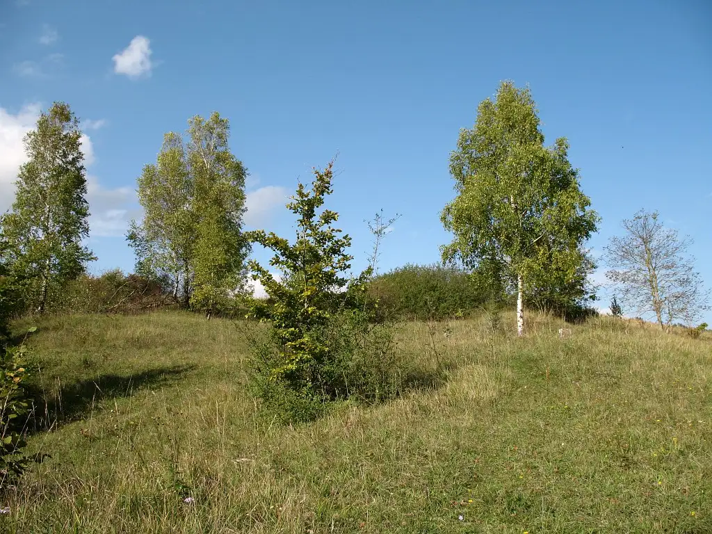 La Rose Fontaine, Montchâlons (Aisne)
