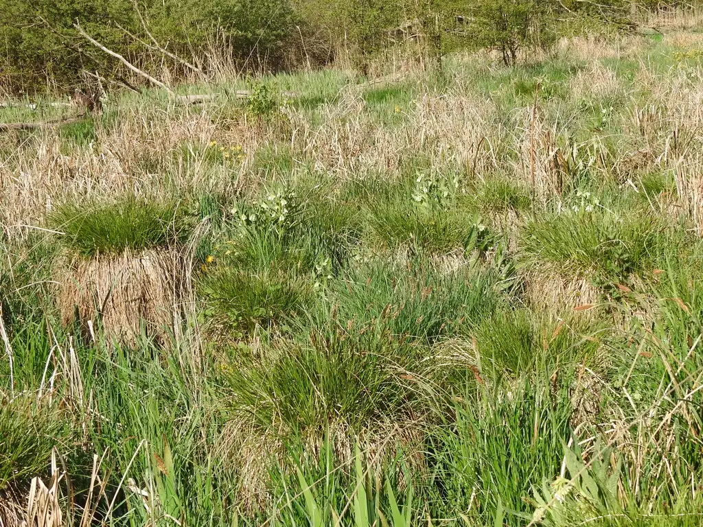La Vallée de la Nonette, Avilly-Saint-Léonard (Oise)