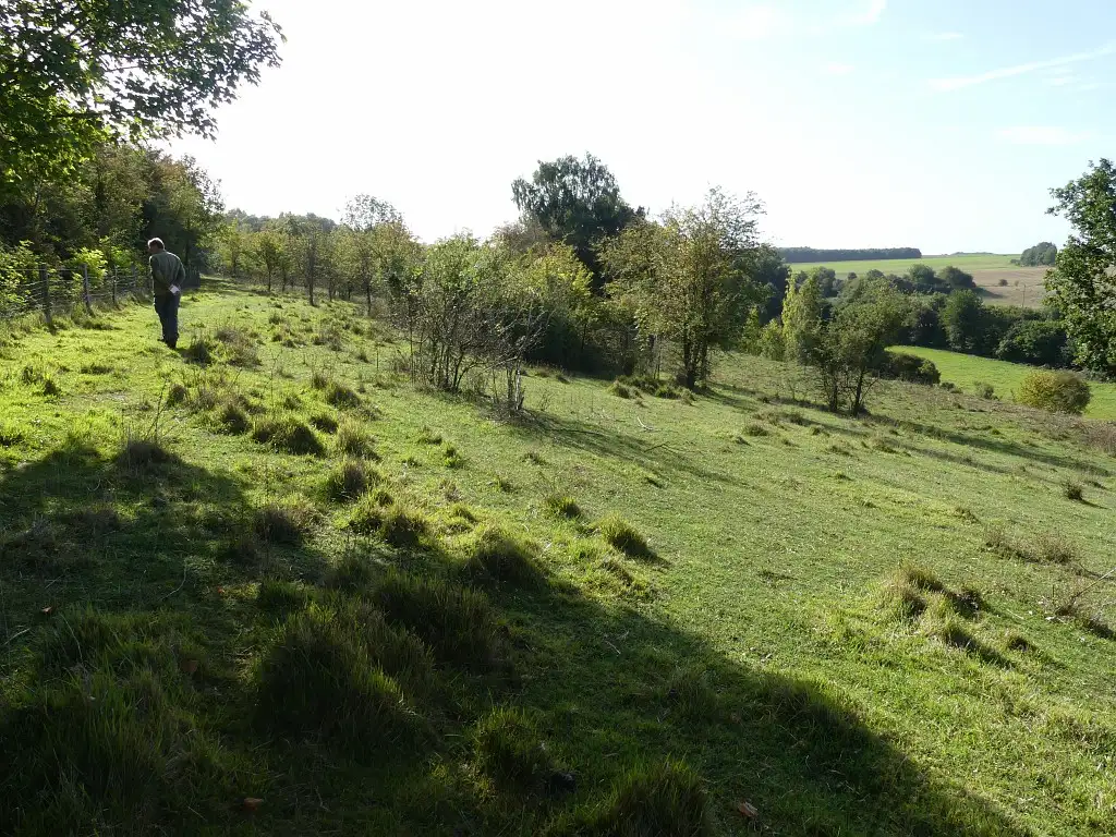 La Vallée du Chêne, Lanches-Saint-Hilaire (Somme)