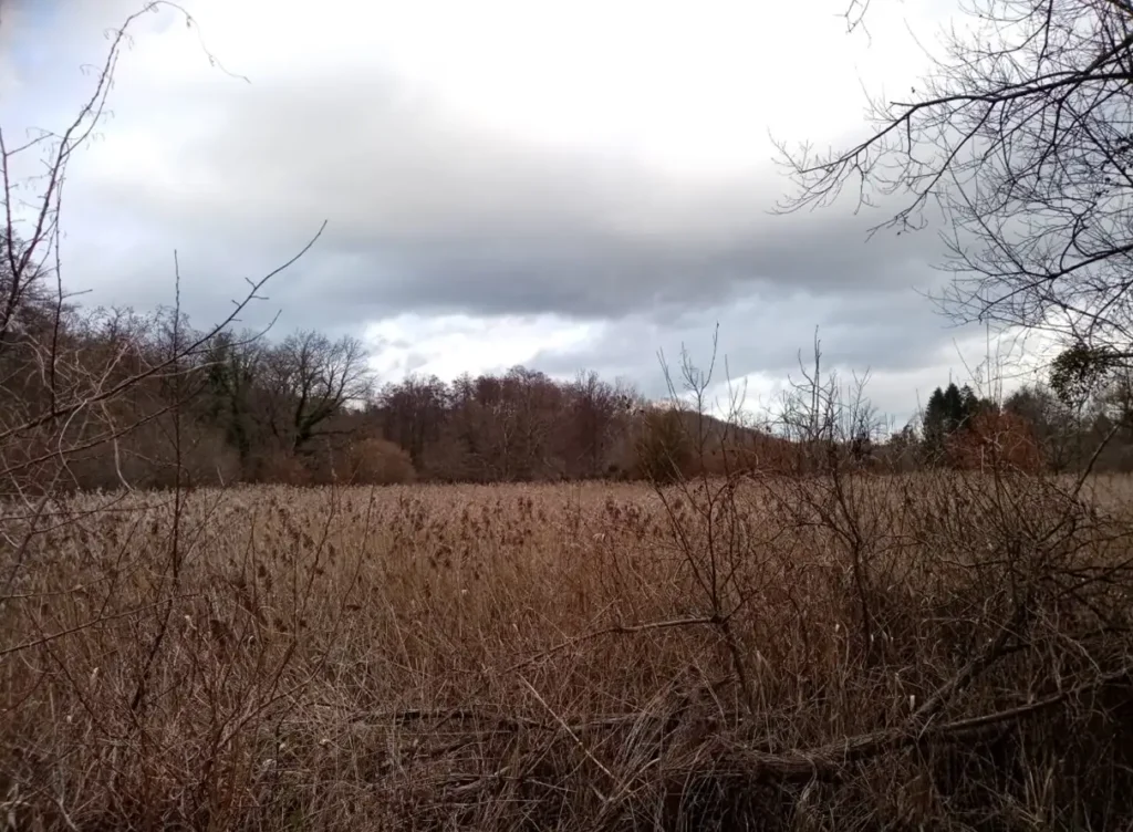 La Vallée du Ru de Berne, Vieux-Moulin (Oise)