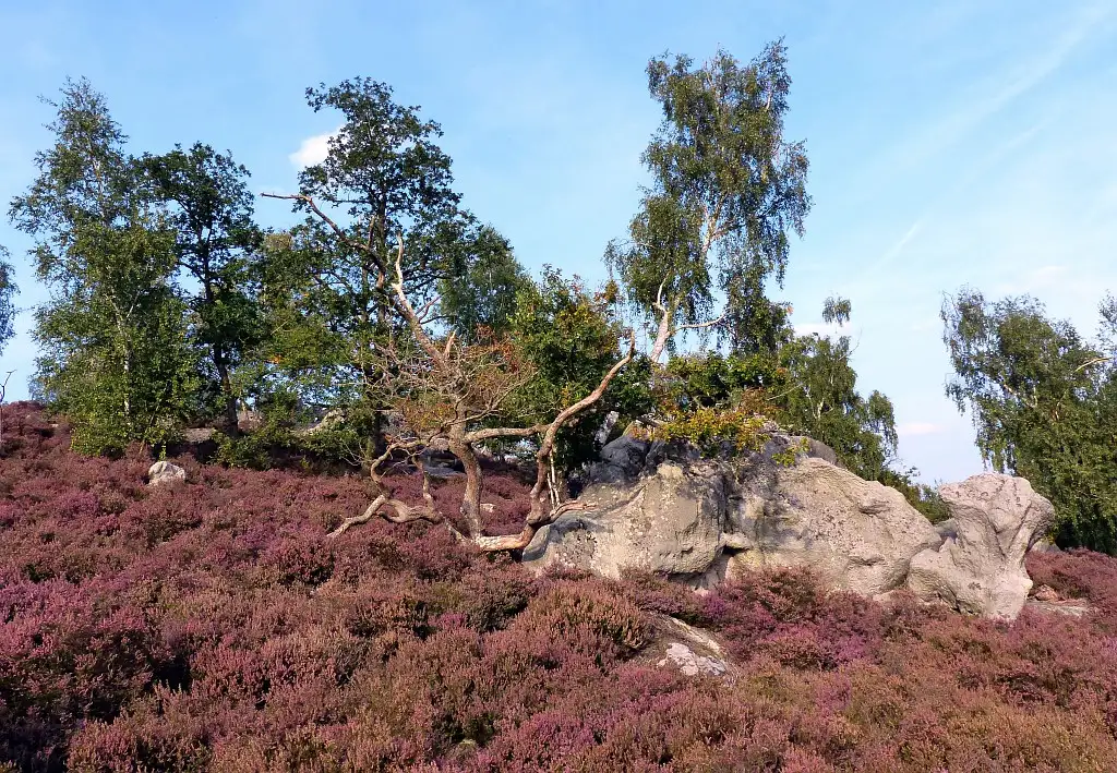 Photographie du paysage de la Hottée du Diable, Coincy (Aisne)