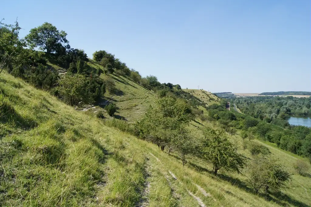 Le Larris d'Hangest-sur-Somme