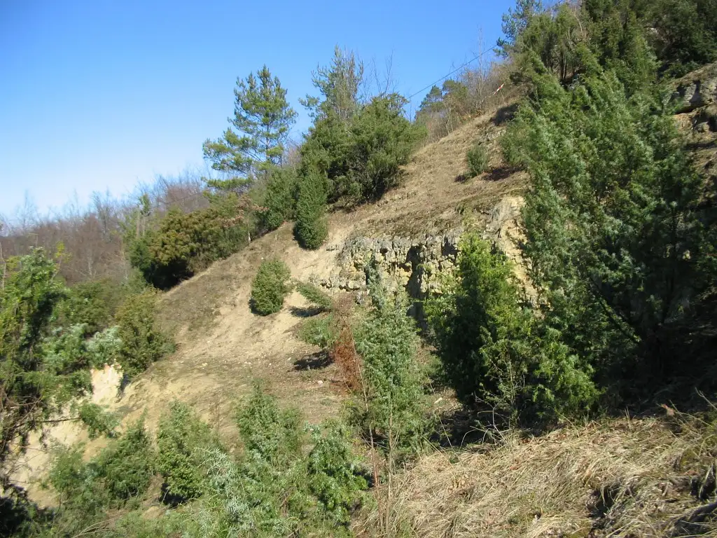 Larris de Puisière, Béthisy-Saint-Martin (Oise)