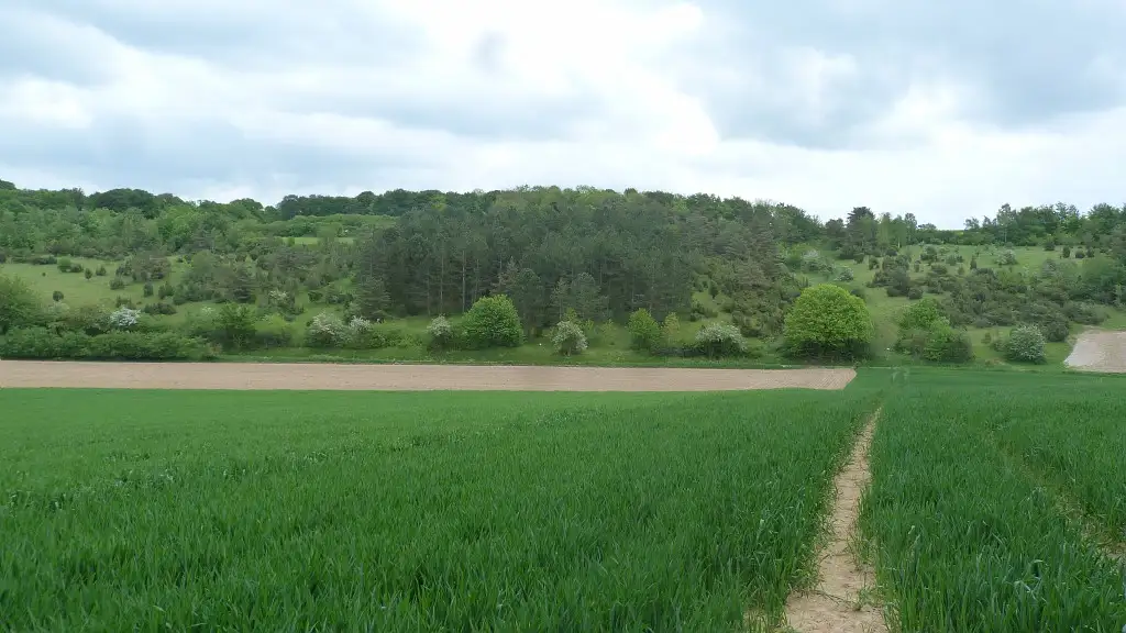 Larris de la Vallée de Sorel, Fontaine-sur-Somme